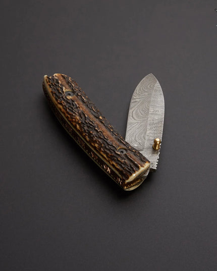 Damascus Steel Pocket Knife with Stag Horn Handle and Premium Leather Cover
