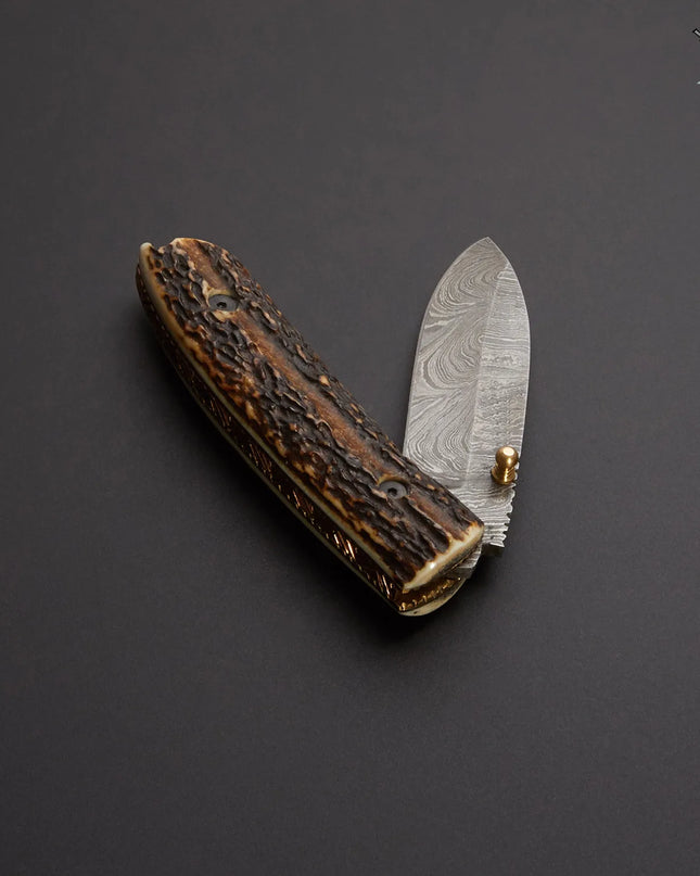 Damascus Steel Pocket Knife with Stag Horn Handle and Premium Leather Cover