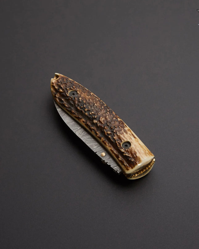 Damascus Steel Pocket Knife with Stag Horn Handle and Premium Leather Cover