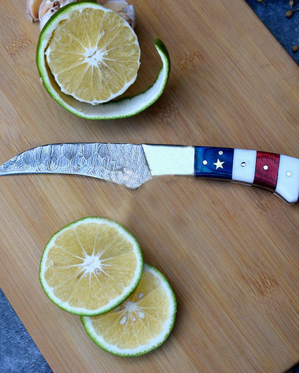 American Chef Knives Set of 5 Handmade Damascus Steel Blade Flag Handle Design with Leather Sheath